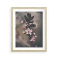 Plakat w ramie 40x50 - Przemijający Urok - kwitnąca, wiśnia - rama drewno