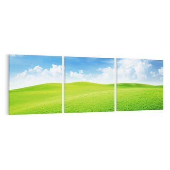 Obraz na płótnie 90x30 - Łąka pod Niebem - łąka, niebo