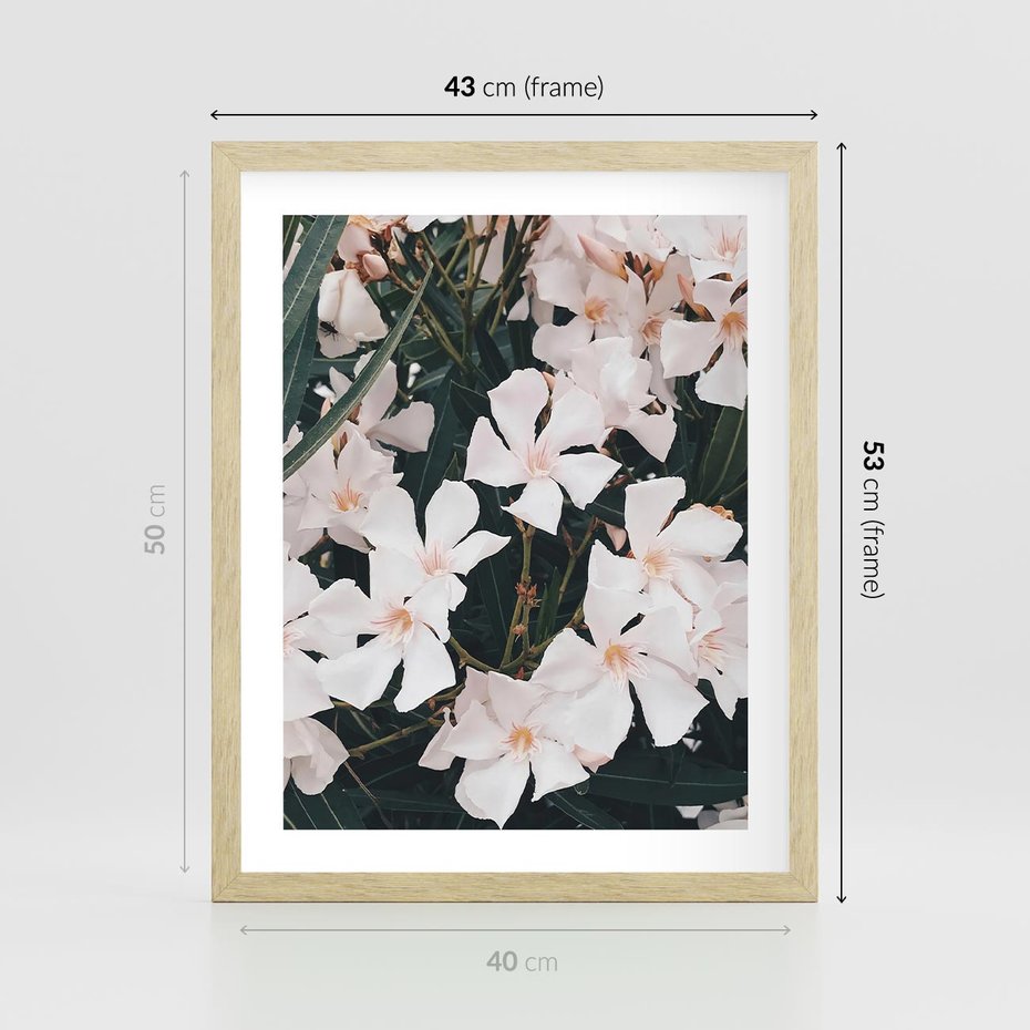 Plakat w ramie 40x50 - Egzotyczna Uroda - białe kwiaty, tropikalne kwiaty - rama drewno