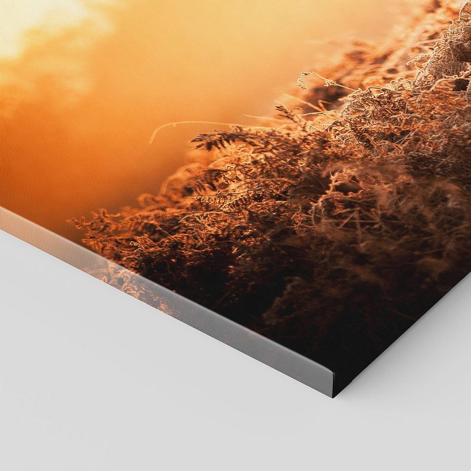 Obraz na płótnie 120x60 - Magia jesiennego słońca: Jeleń w promieniach - jeleń, jesień