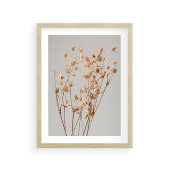 Plakat w ramie 30x40 - Delikatne gipsówki - gipsówka, suche - rama drewno