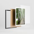 Plakat w ramie 50x70 - Spacer ścieżką przez brzozowy las - las, ścieżka - rama czarna