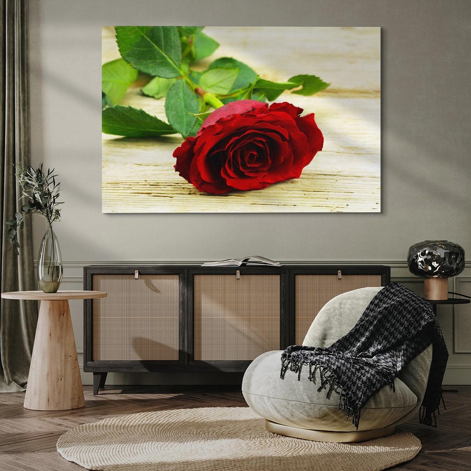 Obraz na płótnie 70x50 - delikatność kwiatu - róża, kwiat