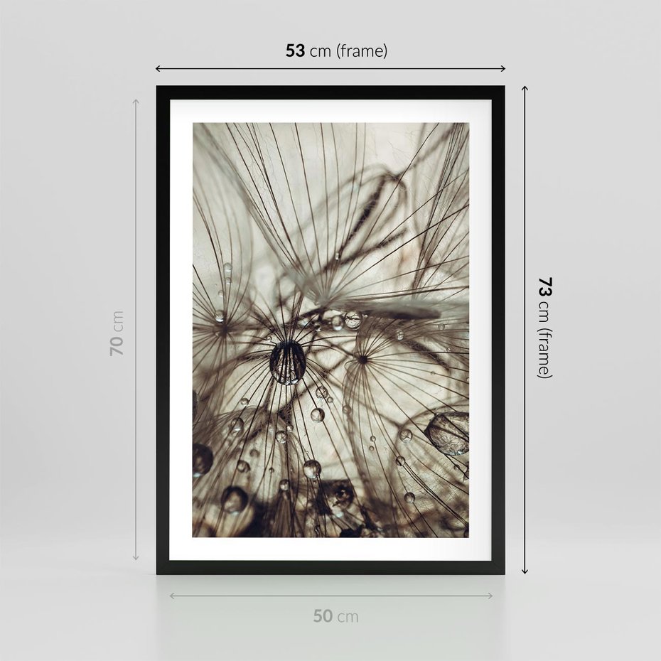 Plakat w ramie 50x70 - Lekkie dmuchawce - dmuchawce, krople - rama czarna