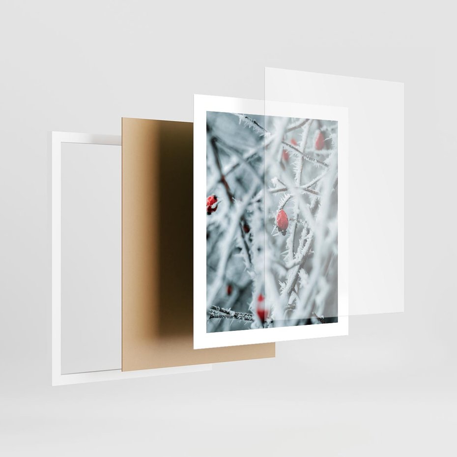Plakat w ramie 40x50 - Zima na Gałęziach - zima, oszronione gałęzie - rama biała