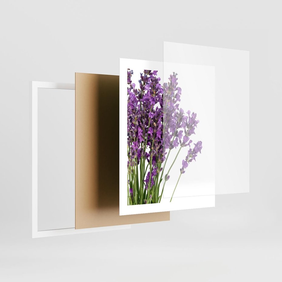 Plakat w ramie 40x50 - Pola lawendy w pełnym rozkwicie - lawenda, kwiaty - rama biała