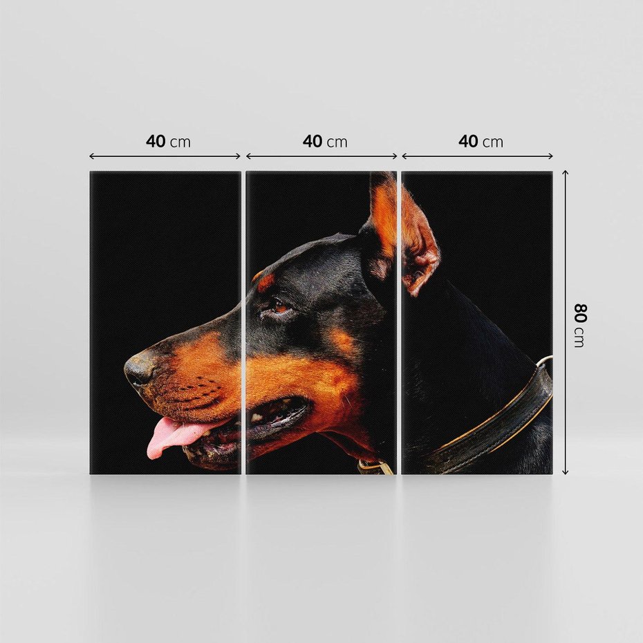 Obraz na płótnie 120x80 - Sztuka psiego uśmiechu - pies, piesek