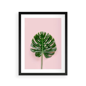 Plakat w ramie 30x40 - Egzotyczna Roślinność - liście, monstera - rama czarna