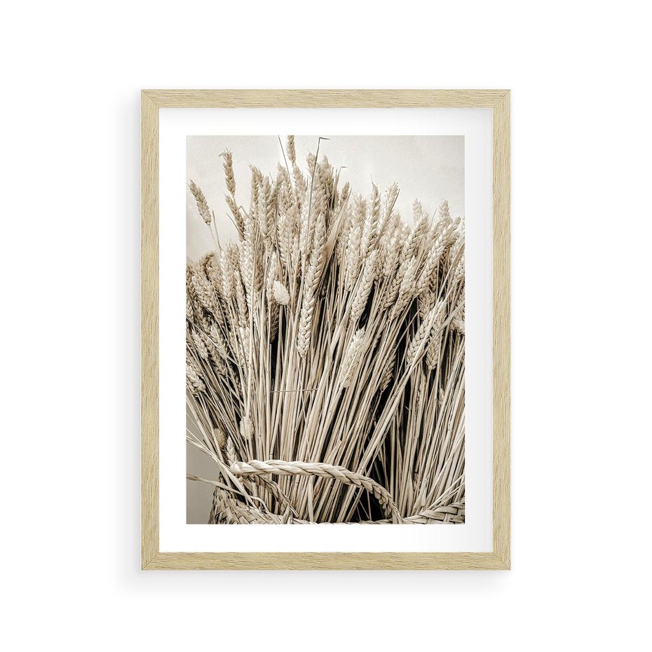 Plakat w ramie 30x40 - Letni Plon - zboże, kłosy zboża - rama drewno