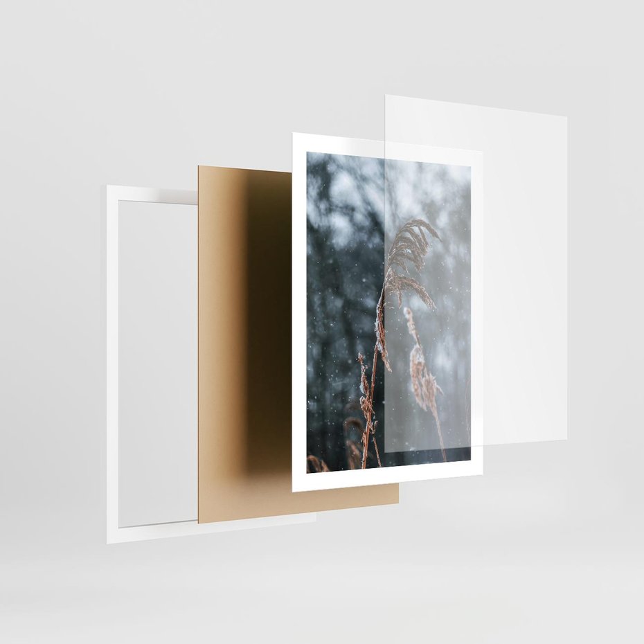 Plakat w ramie 50x70 - Zima na Łonie Natury - sucha wysoka trawa, w zimie - rama biała