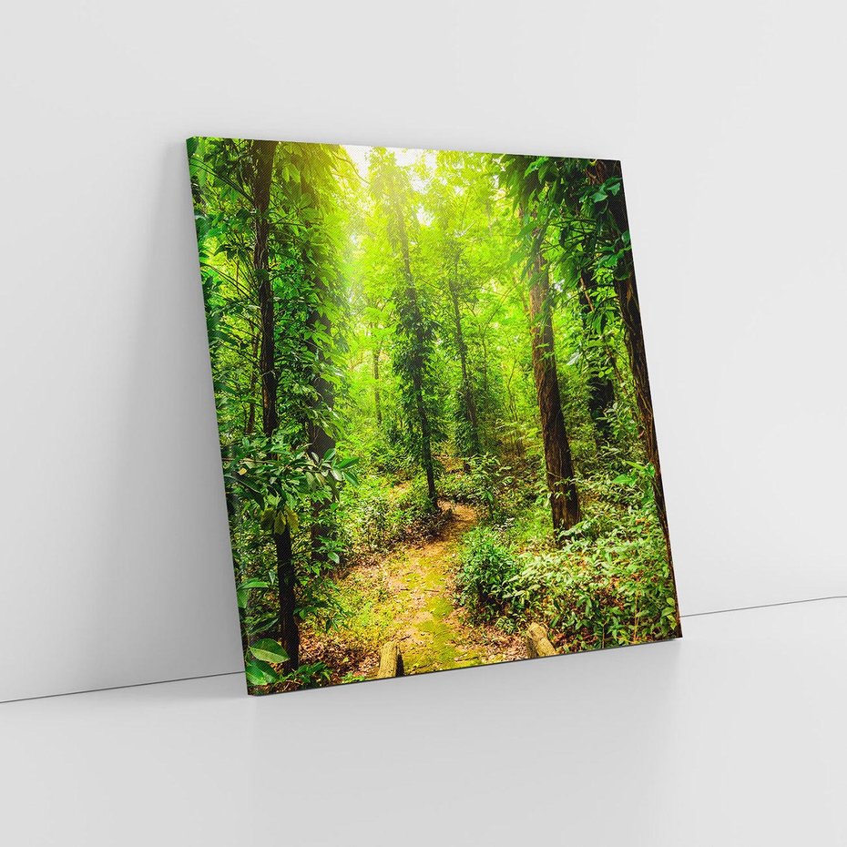 Obraz na płótnie 80x80 - Współistnienie z naturą - drzewa, las