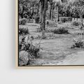Obraz w ramie 70x100 - Mroczna Ścieżka Tropików - czarno biała fotografia, ścieżka pośród palm - rama drewno