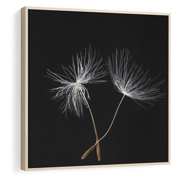 Obraz w ramie 50x50 - Delikatność Wiatru - dmuchawce, makro - rama drewno