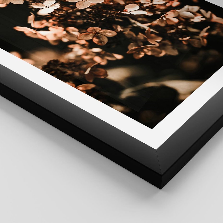 Plakat w ramie 50x70 - Hortensja - Suchy Kwiat w Sztuce - hortensja, suchy kwiat - rama czarna