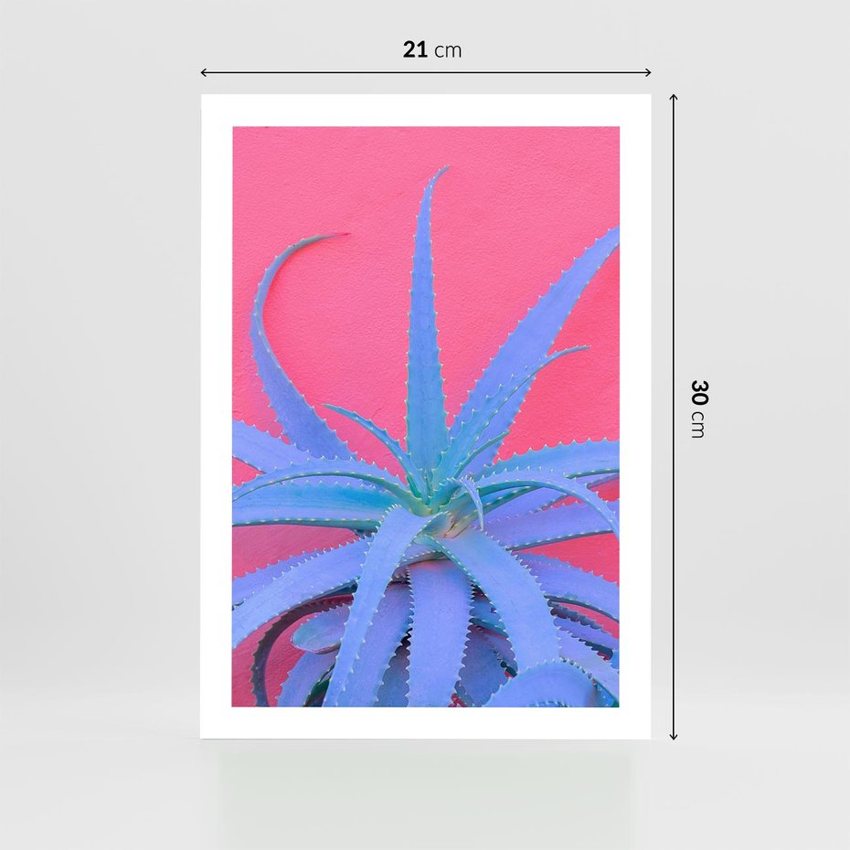 Plakat bez ramy 21x30 - Piękno Pustyni - kaktusy, liście