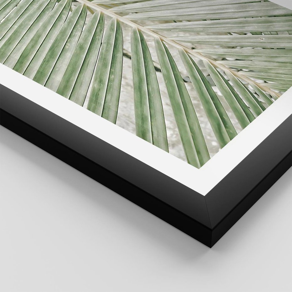 Plakat w ramie 30x40 - Jasna Zieleń Palmy - liść palmy, zbliżenie - rama czarna