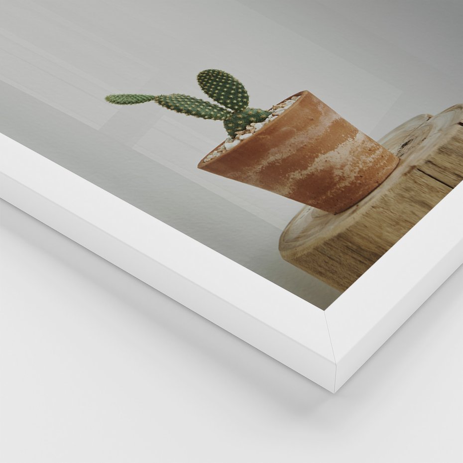 Zestaw obrazy w ramie 50x70 galeria - Kaktusy, w, doniczkach, boho - rama biała