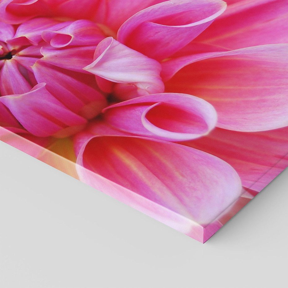 Obraz na płótnie 80x80 - Kwiatowy taniec różnorodność natury - kwiat, kwiaty