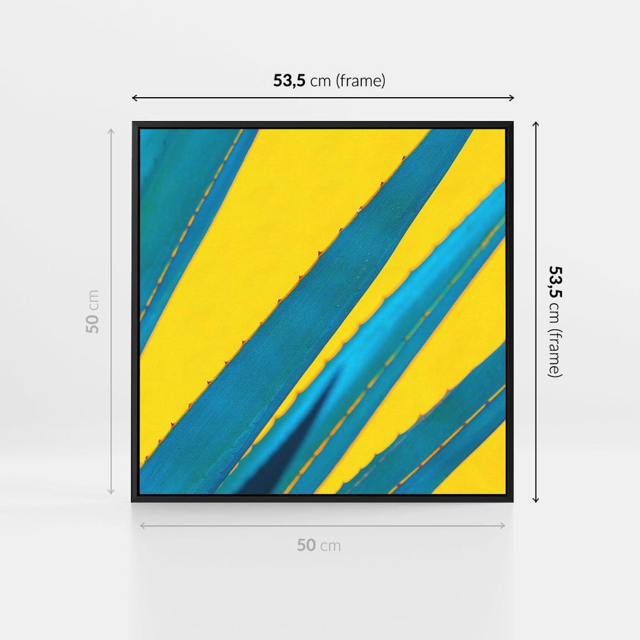 Obraz w ramie 50x50 - Świeżość Natury - aloes, liście - rama czarna