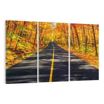 Obraz na płótnie 120x80 - Droga przez jesienny las - droga, las