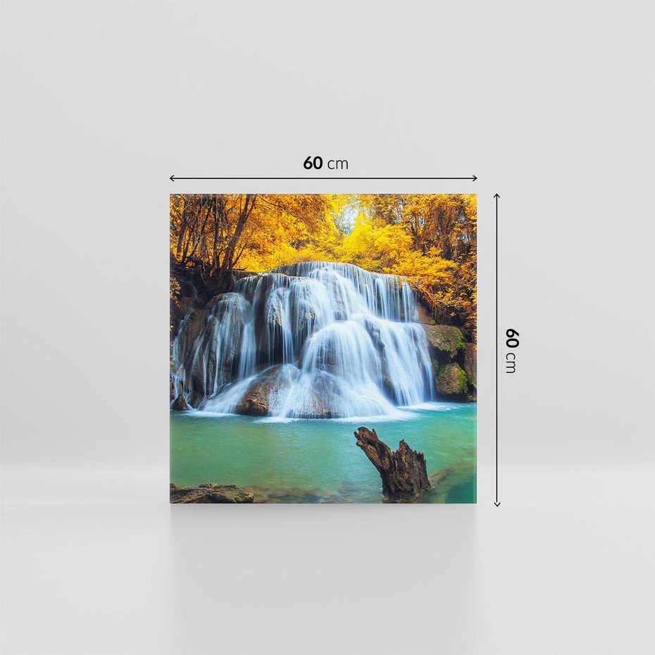 Obraz na płótnie 60x60 - Magia kolorów - jesień, las