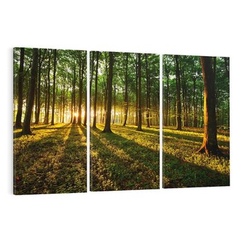 Obraz na płótnie 120x80 - Mistyfikujący urok leśnej głuszy - las, drzewa