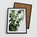 Plakat w ramie 50x70 - Zielone eukaliptusy - eukaliptus, liście - rama czarna