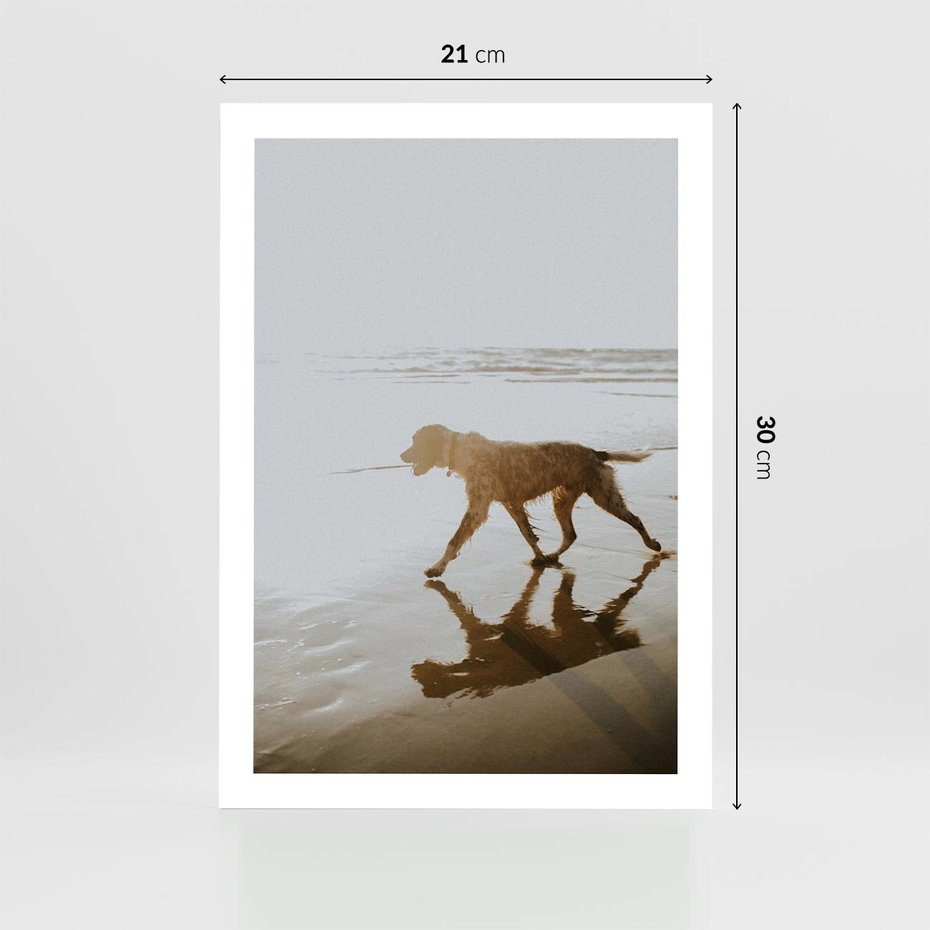Plakat bez ramy 21x30 - Przyjaciel na Plaży - pies, na plaży