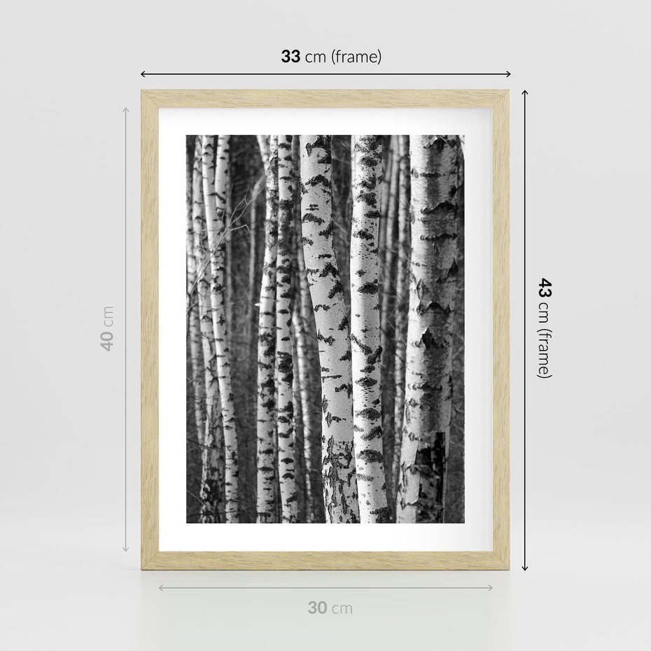 Plakat w ramie 30x40 - Kontrast Monochromatyczny - brzozy, czarno - rama drewno