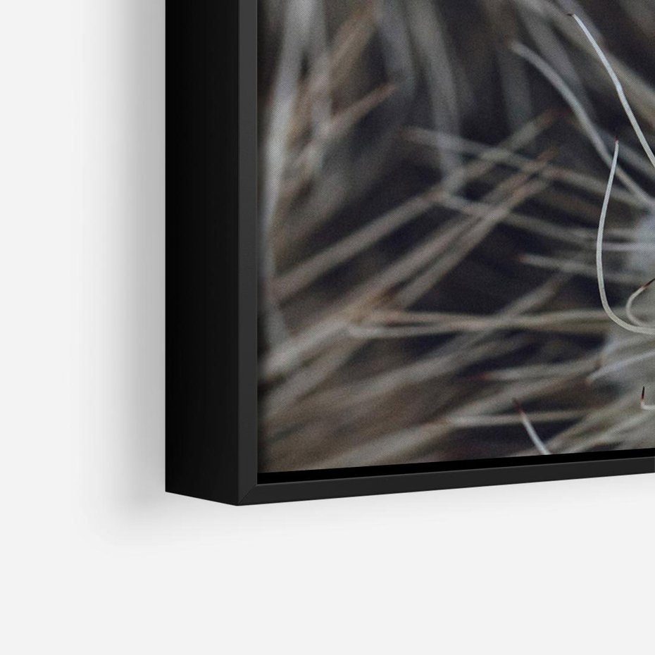 Obraz w ramie 70x50 - Ulotna Piękność Natury - makro, dmuchawce - rama czarna