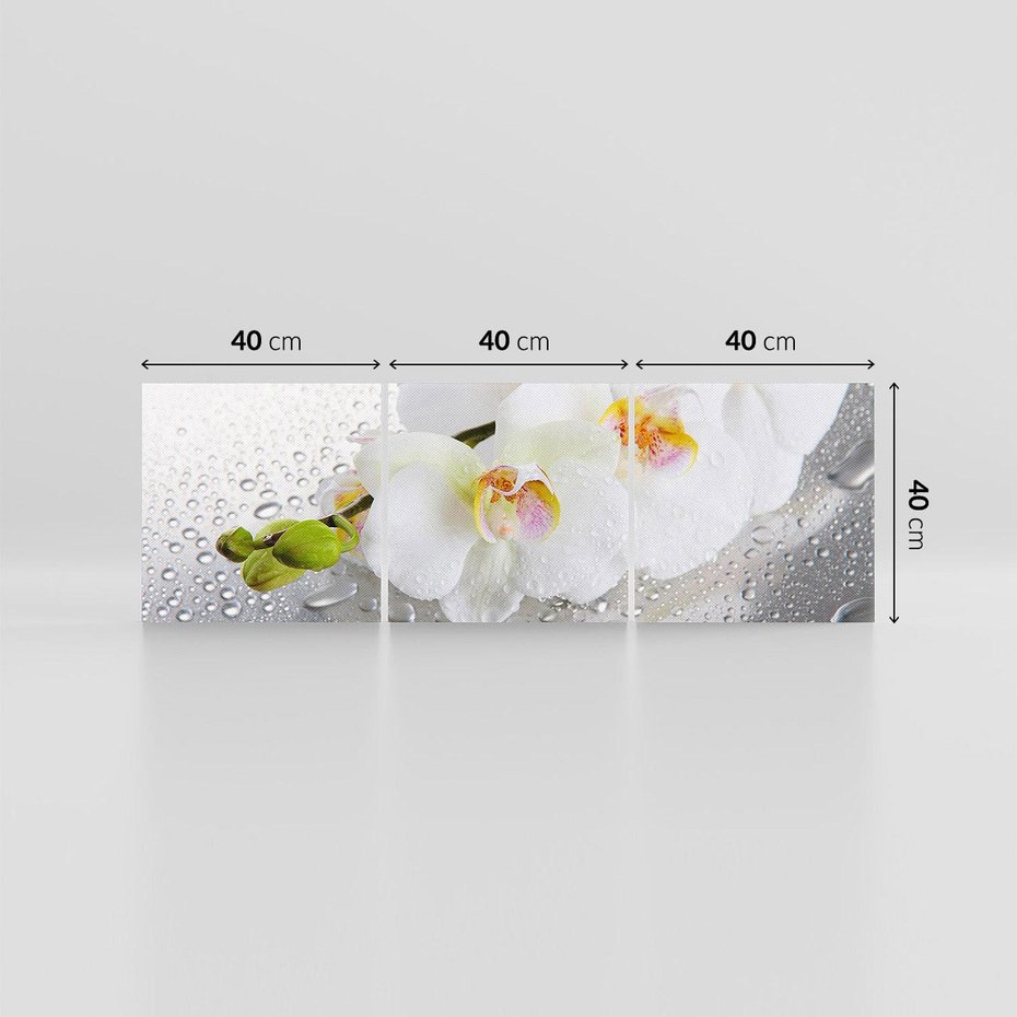 Obraz na płótnie 120x40 - Kwiatowy rój - kwiaty, kwiat