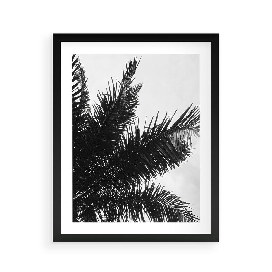 Plakat w ramie 40x50 - Czas Zapomnienia - palmy, czarno biała fotografia - rama czarna