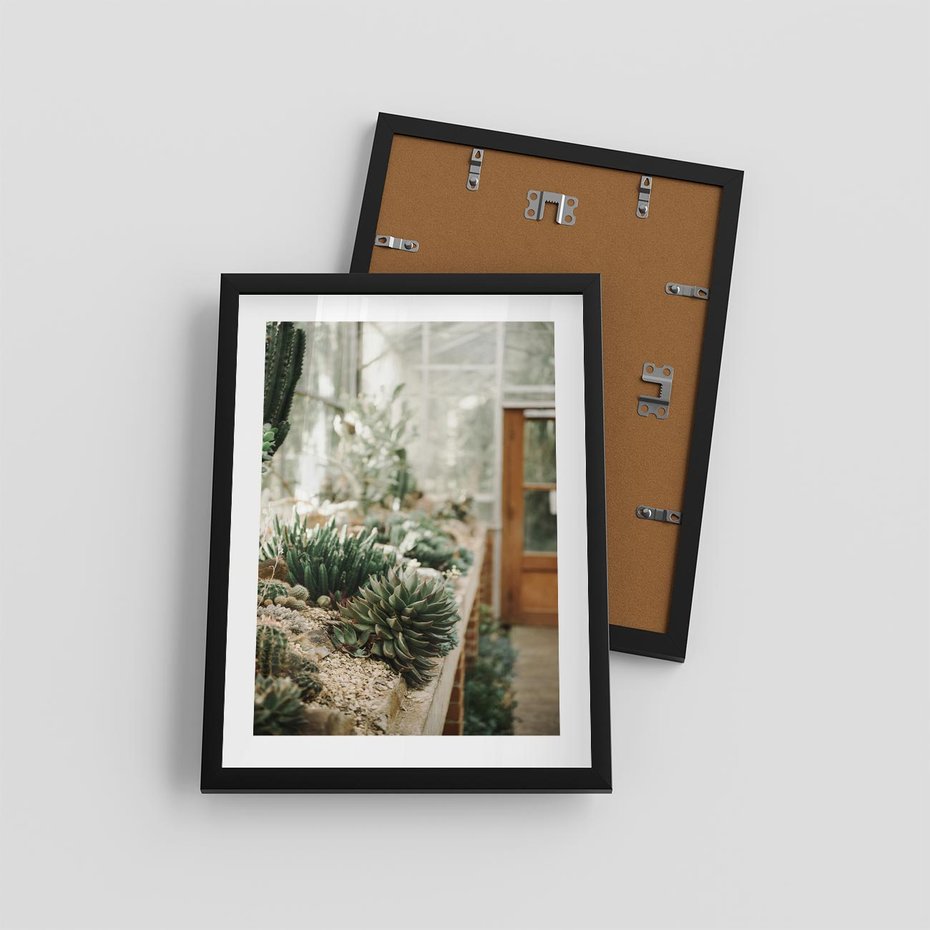 Plakat w ramie 30x40 - Sukulenty w Szklarni - sukulenty, w szklarni - rama czarna