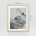 Plakat w ramie 40x50 - Zbliżenie Liści Eukaliptusa - eukaliptus, zbliżenie - rama drewno