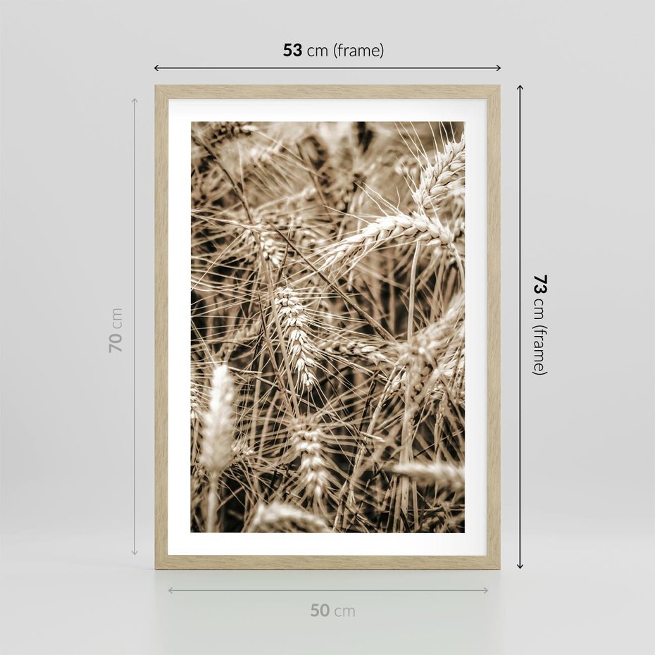 Plakat w ramie 50x70 - Zbliżenie na Kłosy Zboża - zboża, kłosy zboża - rama drewno