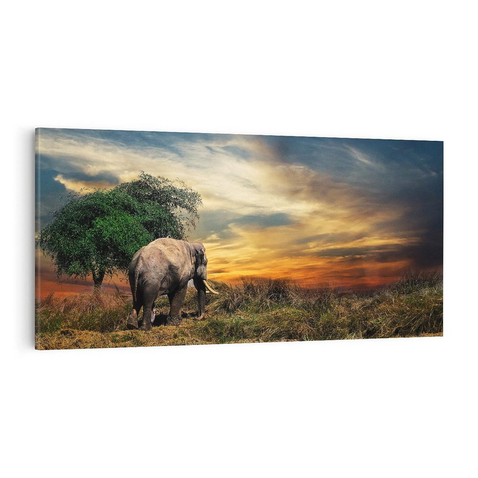 Obraz na płótnie 100x50 - Potęga słonia na afrykańskiej sawannie - słoń, sawanna