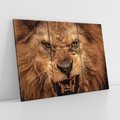Obraz na płótnie 120x80 - Władca Sawanny - lew, sawanna