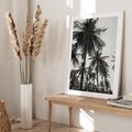 Plakat bez ramy 40x50 - Mono Tropiki - palmy, drzewa palmowe