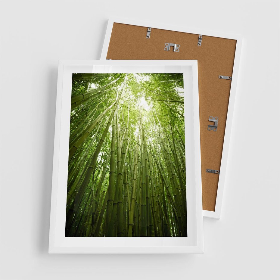 Plakat w ramie 50x70 - Siła Natury - drzewa, las - rama biała