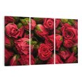 Obraz na płótnie 120x80 - Piękno róż: delikatność natury - róże, kwiaty