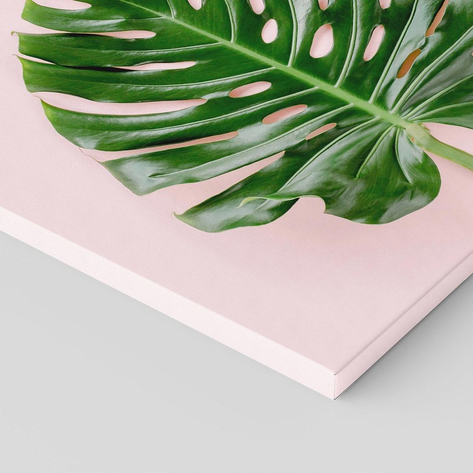 Obraz na płótnie 50x50 - Egzotyczna Roślinność - liście, monstera