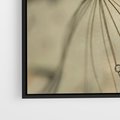 Obraz w ramie 50x50 - Delikatność dmuchawców - dmuchawce, krople - rama czarna