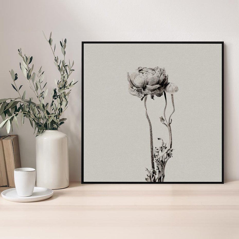 Obraz w ramie 50x50 - Kwiatowa Symfonia w Szarościach - czarno biała odbitka, jak fotografia - rama czarna