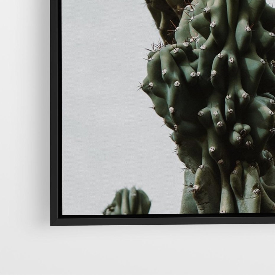 Obraz w ramie 100x70 - Boho oaza wśród kaktusów - kaktusy, pustynia - rama czarna