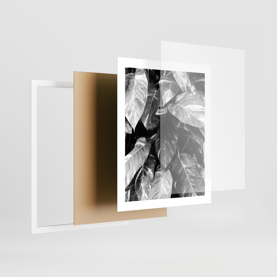 Plakat w ramie 40x50 - Liście w Czarno-Białej Fotografii - liście, roślina - rama biała