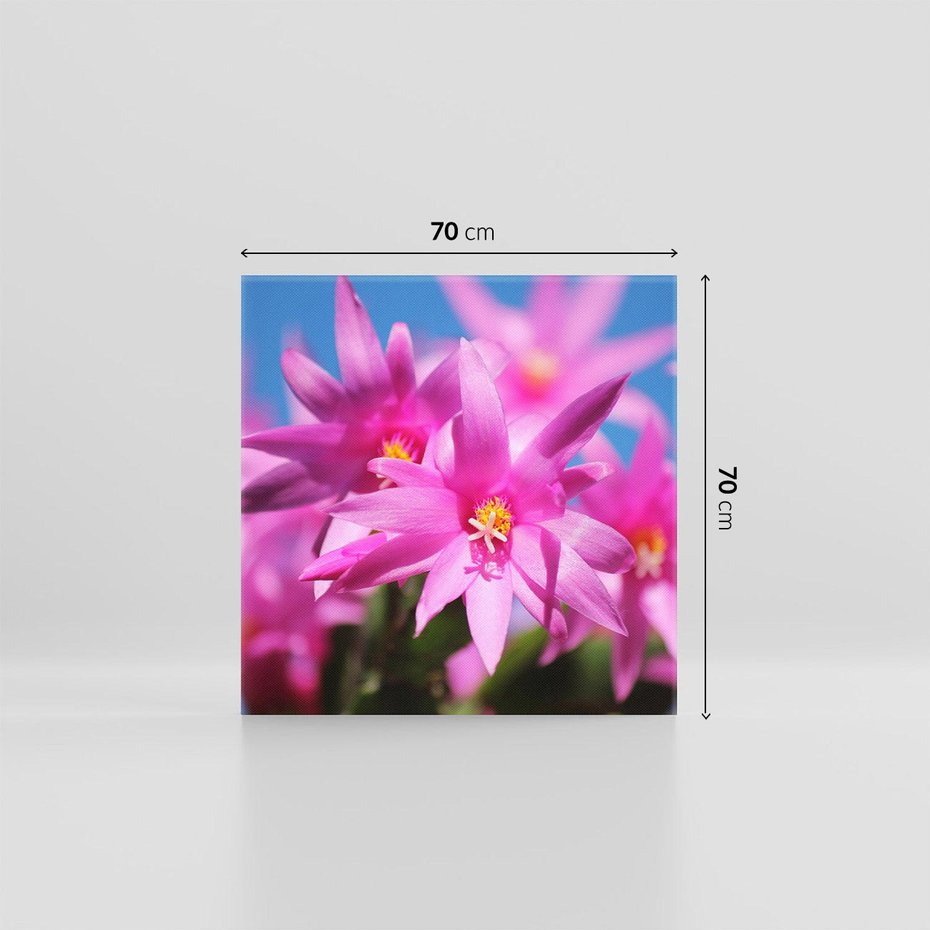 Obraz na płótnie 70x70 - Kwiatowy urok - kwiat, kwiaty