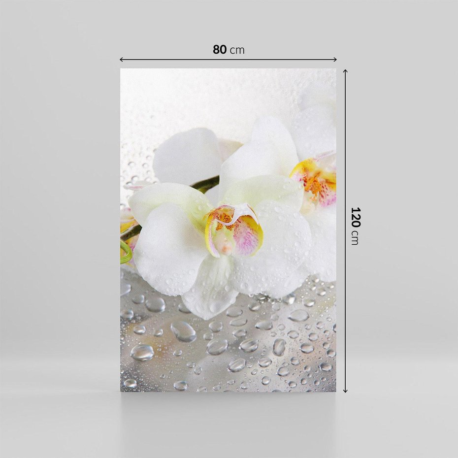 Obraz na płótnie 80x120 - Kwiatowy rój - kwiaty, kwiat