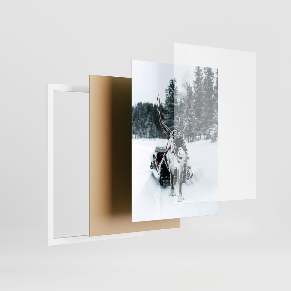 Zestaw obrazy w ramie 50x70 galeria - Zima, las, renifer, krajobraz - rama biała