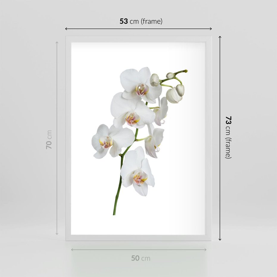 Plakat w ramie 50x70 - Ekskluzywny Relaks - storczyk, spa - rama biała