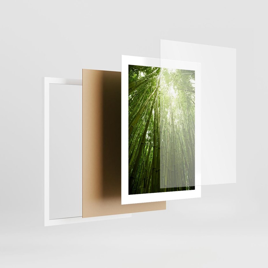 Plakat w ramie 30x40 - Siła Natury - drzewa, las - rama biała